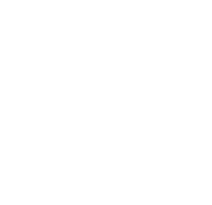 tattoo pulse - Logo